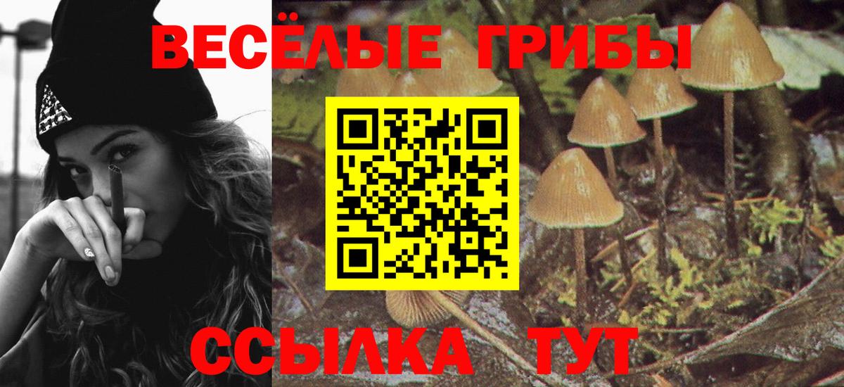 Псилоцибиновые грибы Cubensis  Псилоцибиновые грибы мухоморы  Сертолово  Вход с VPN 