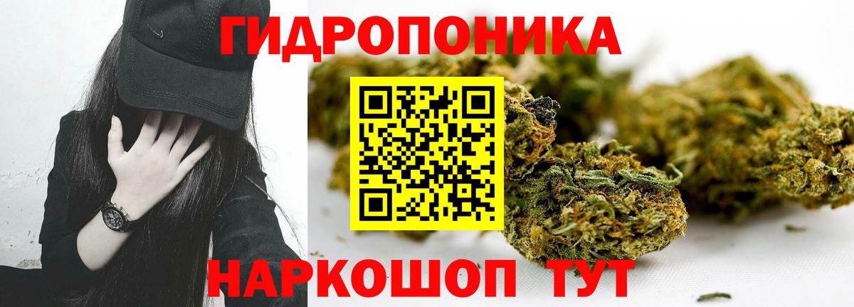 МАРИХУАНА OG Kush  Вход с VPN  Бошки марихуана Amnesia  Сертолово  Бошки марихуана White Widow 